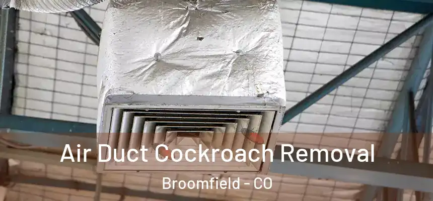 Air Duct Cockroach Removal Broomfield - CO