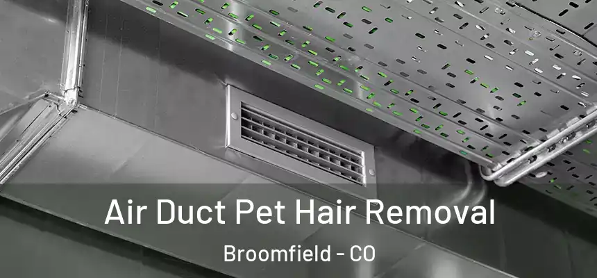 Air Duct Pet Hair Removal Broomfield - CO