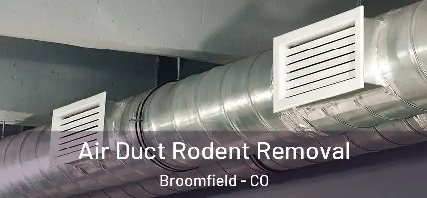  Air Duct Rodent Removal Broomfield - CO
