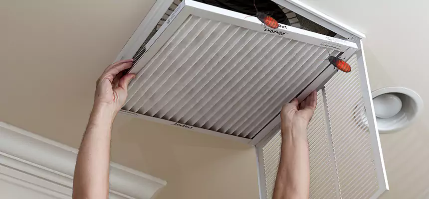 Preventive Cockroach-Proofing for Ducts in Broomfield