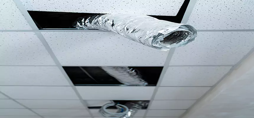 Affordable HVAC Sanitizing After Pest Removal in Broomfield