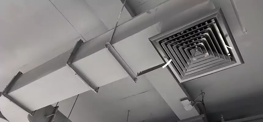 Restorative Allergy Relief Vent Cleaning – Coil, Blower & Housing Detail in Broomfield