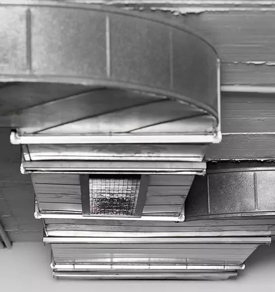 Professional Air Duct Pest Removal in Broomfield, CO