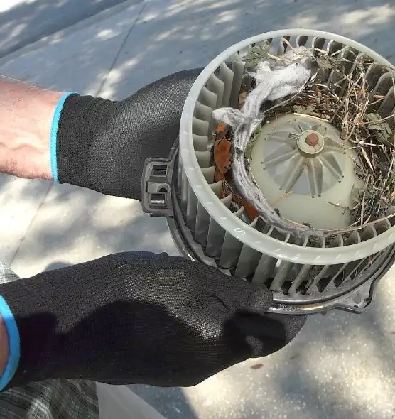 About Air Duct Rat Removal in Broomfield, CO