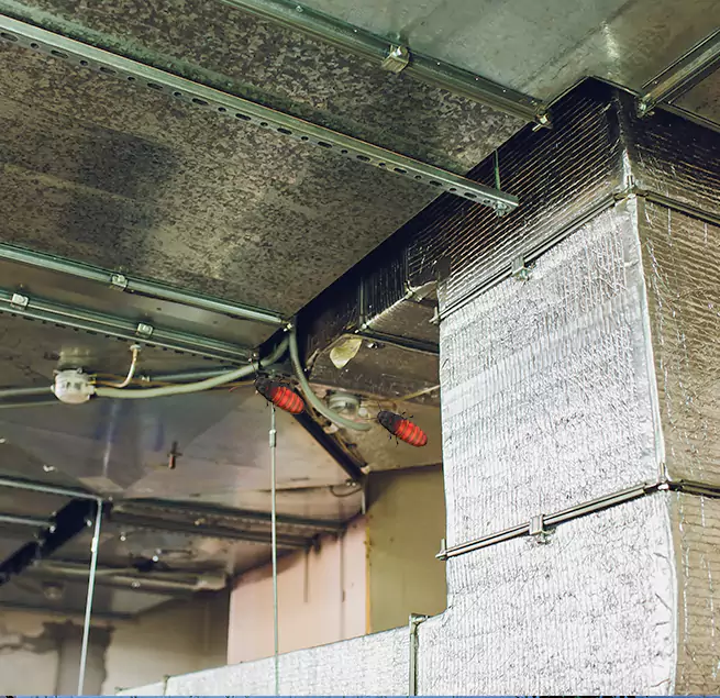 Why Homeowners & Businesses Trust Us in Broomfield, CO?