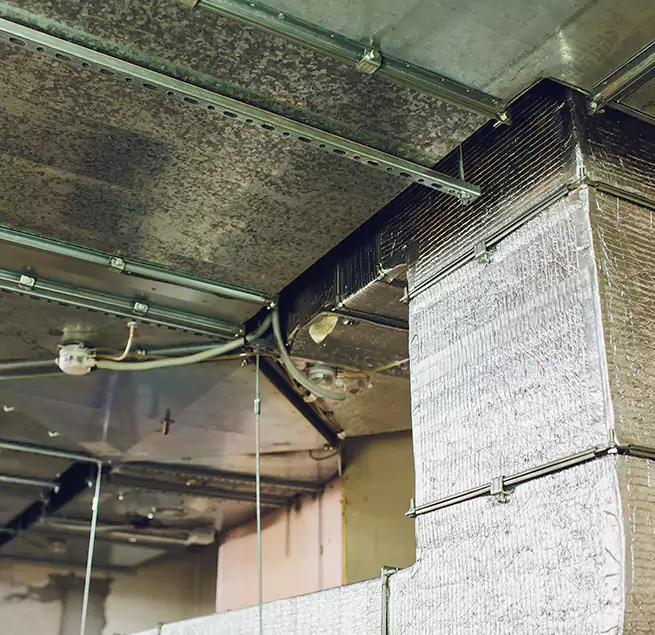 Why Homeowners & Businesses Trust Us in Broomfield, CO?